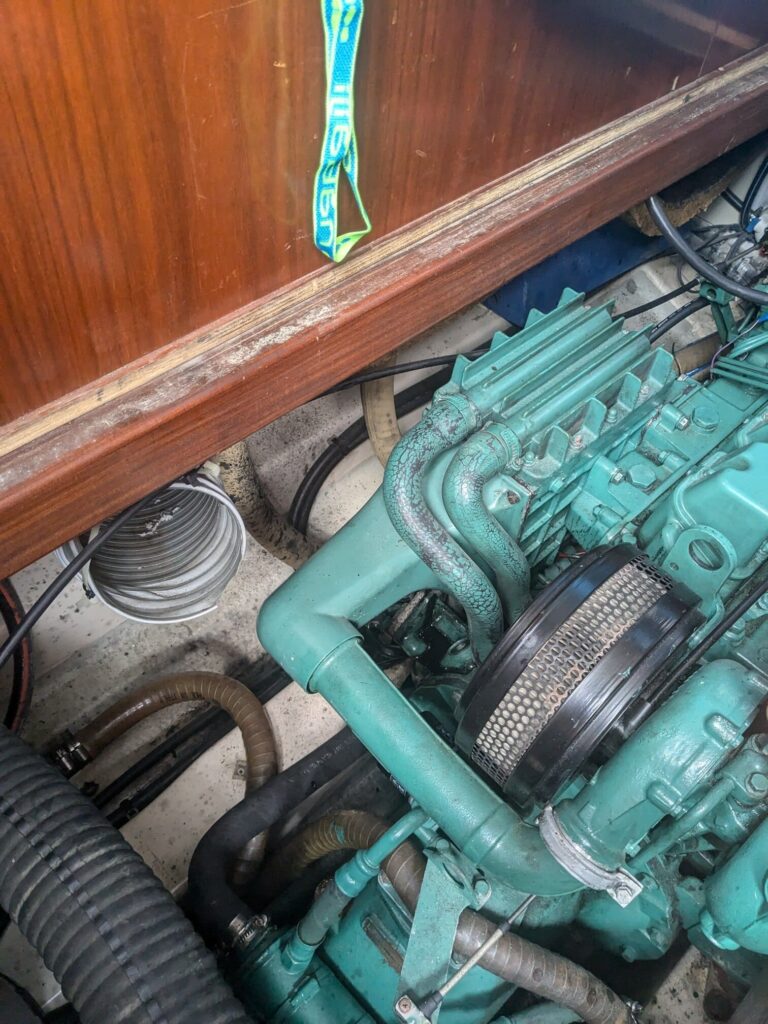 pxl 20240729 083018547 1.jpg